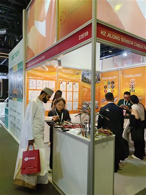 2025. gada Dubai Energy Expo nonāk perfektā secinājumā